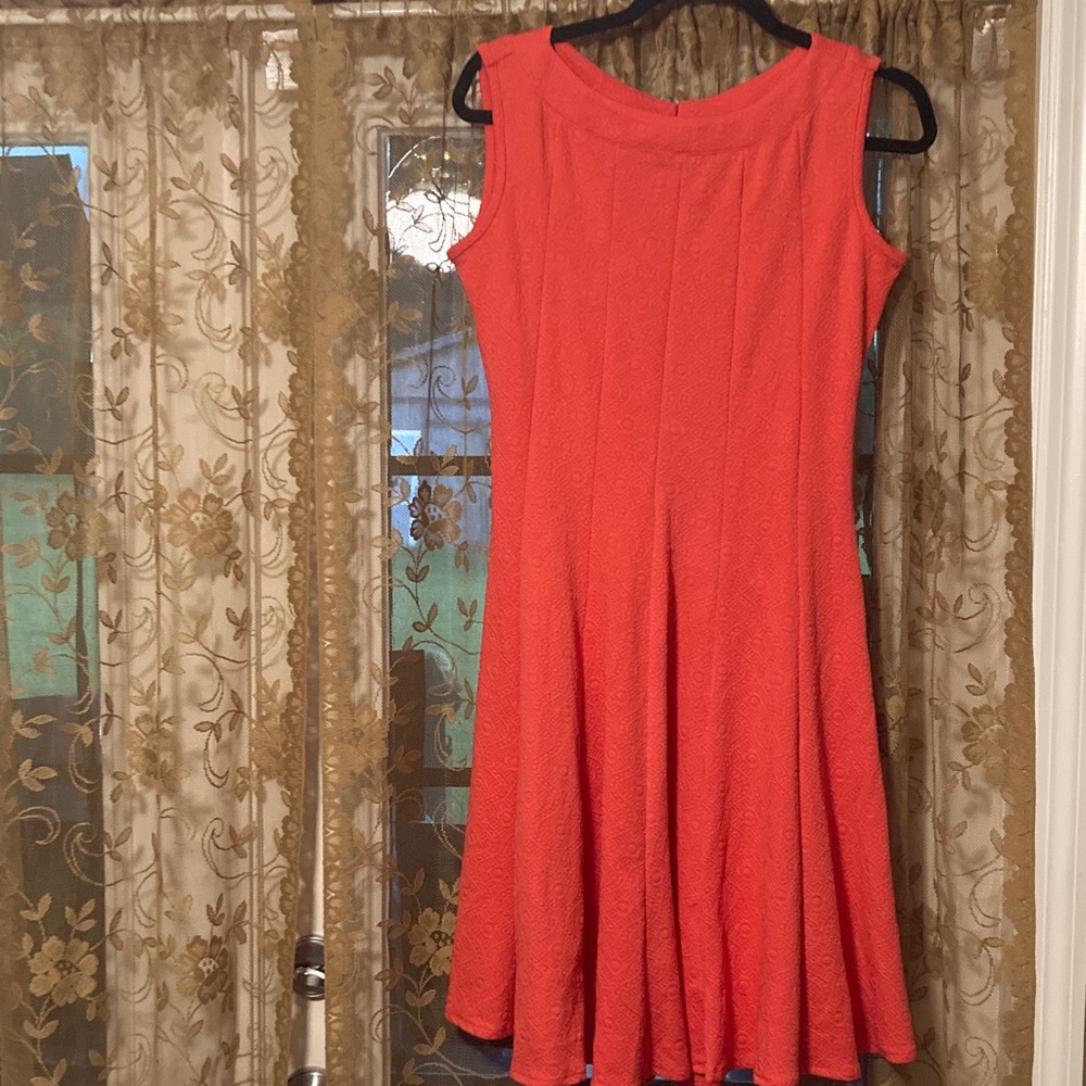 Haani Petite Dress Bundle - Picture 9 of 11
